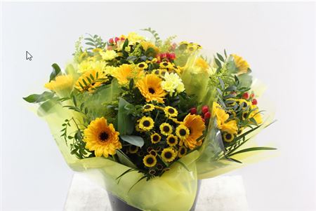 FeedSync:wholesale:bd0fb36f90ac14c2ece44278f6912189482886ee