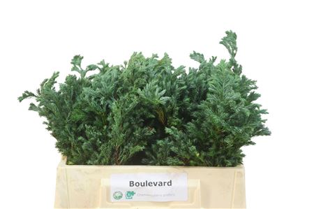 FeedSync:wholesale:b51c6a59908f29d4920899518edb525e0562e15c