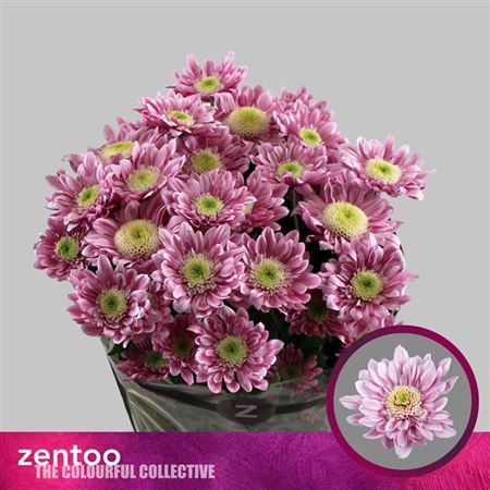 FeedSync:wholesale:61566510ad7788d21105405c6686b13ff8857069