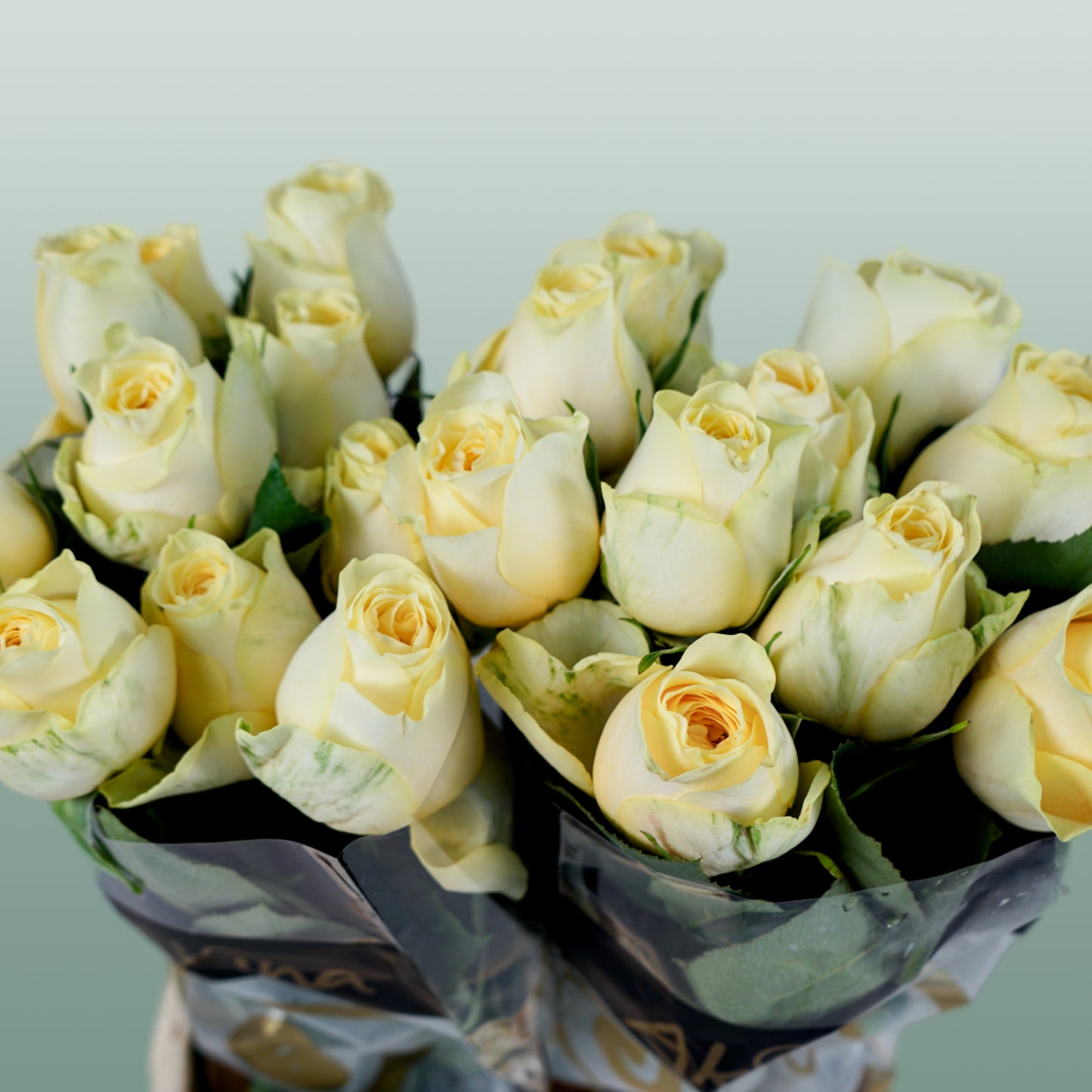 Rose Buttercup (20 Stems)
