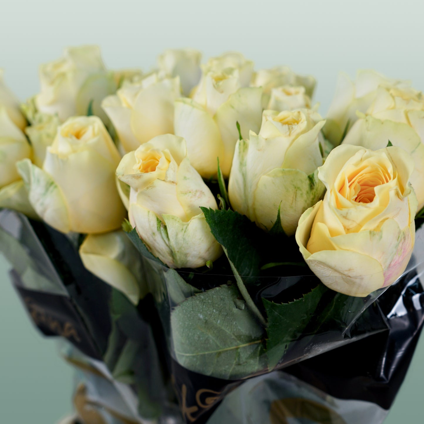 Rose Buttercup (20 Stems)