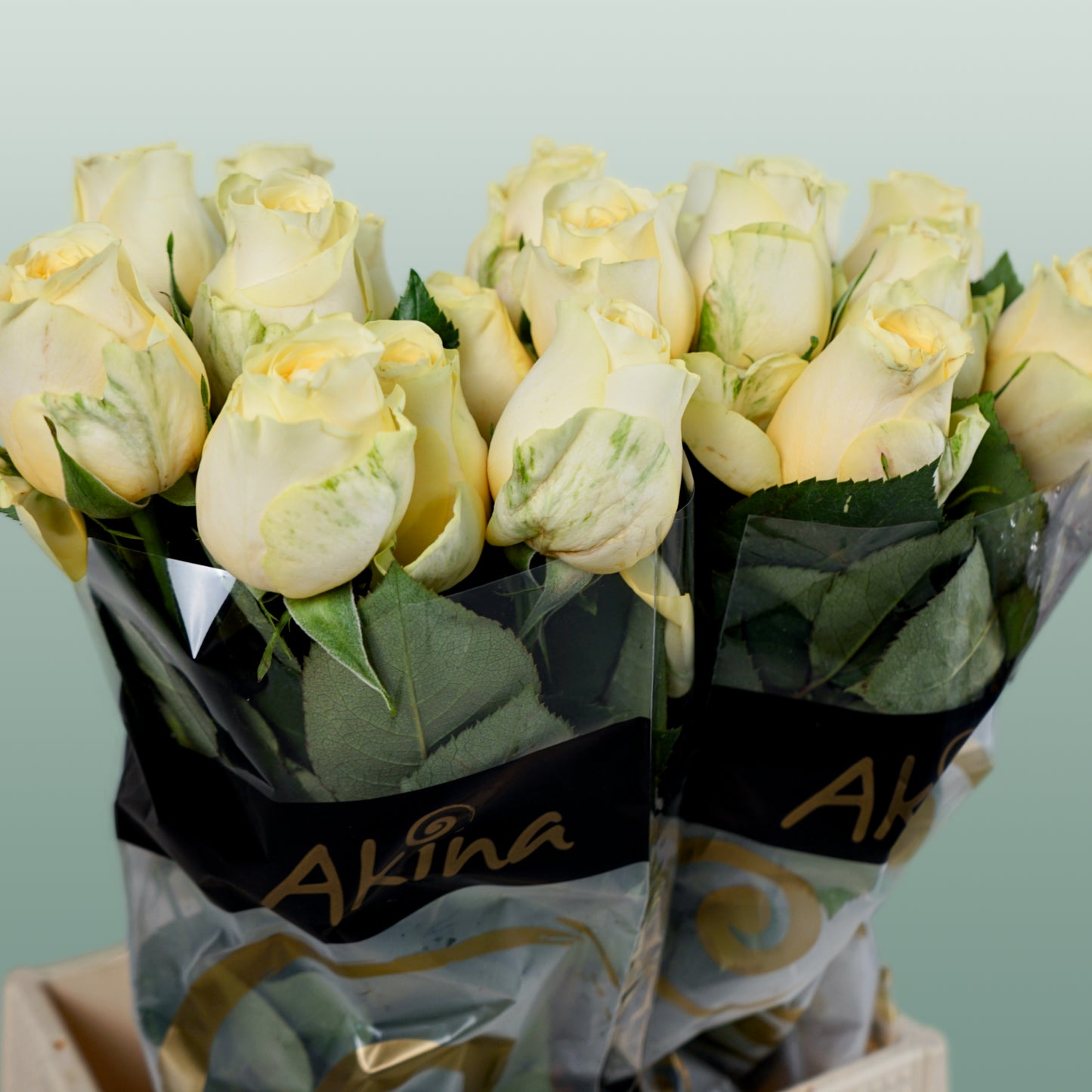 Rose Buttercup (20 Stems)
