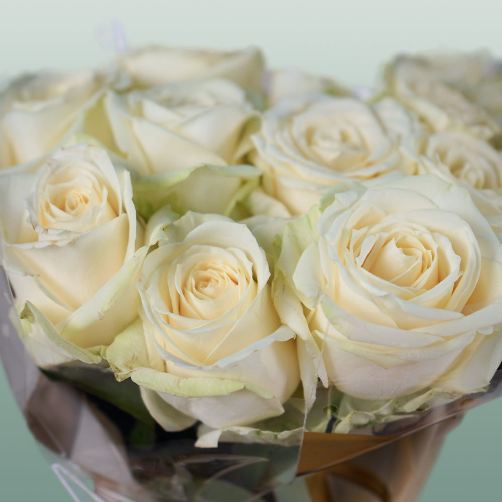 Rose Avalanche White 40-80cm (20 Stems)