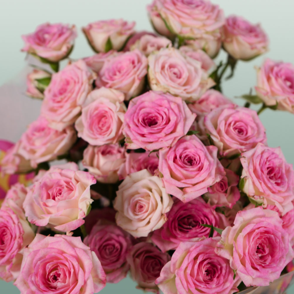 Spray Rose Creamy Twister (10 Stems)