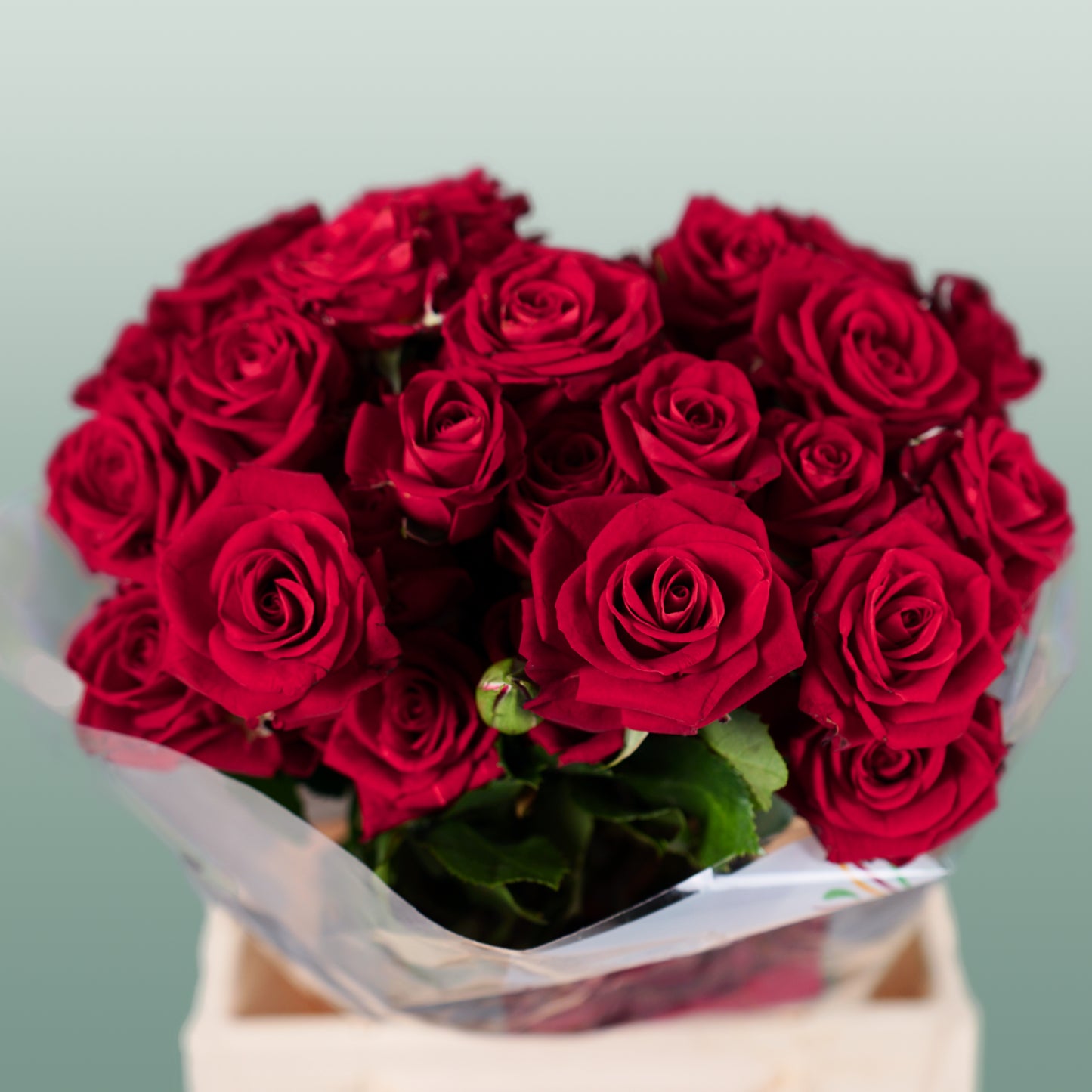Spray Rose Dominica (10 Stems)