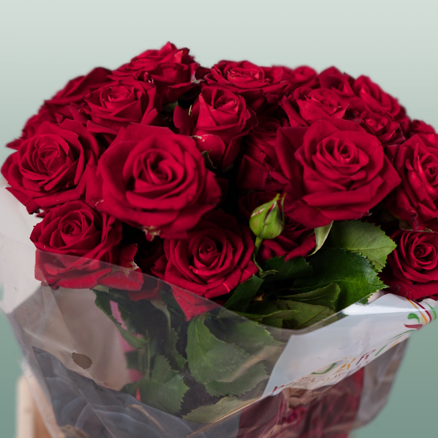 Spray Rose Dominica (10 Stems)