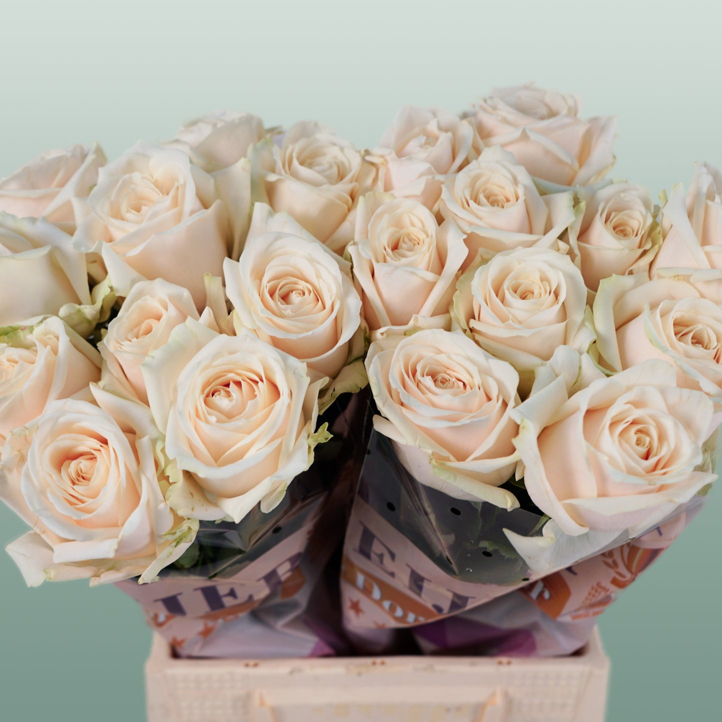 Rose Dorchester (20 Stems)