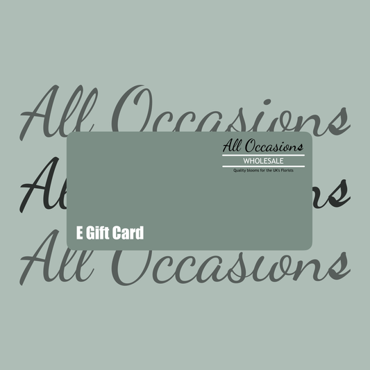 All Occasions Wholesale E-Gift Card