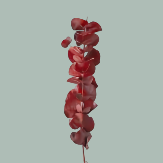 GR Eucalypthus Cinerea Dyed Red