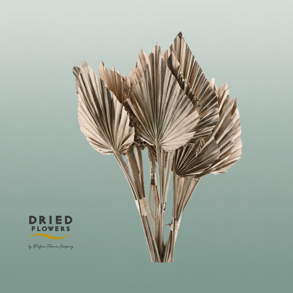 Dried Palm Spear Small Champagne