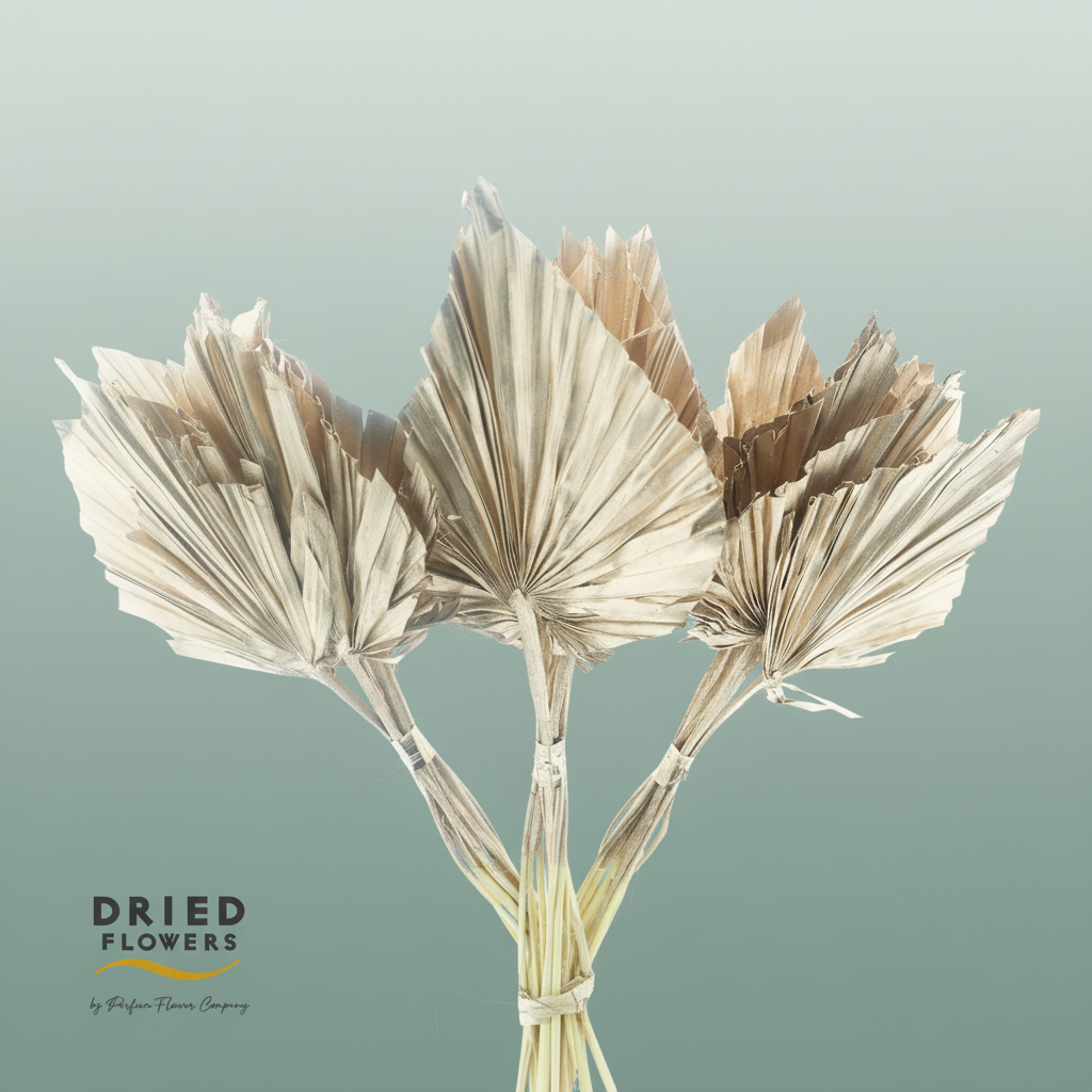 Dried Palm Spear Small Rose Gold