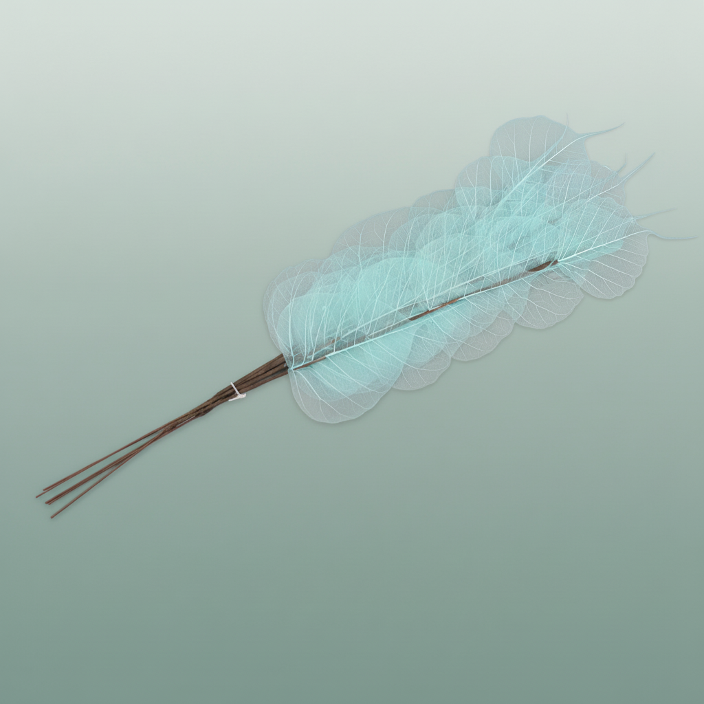 Dried Bleached Ficus Stem Light Blue