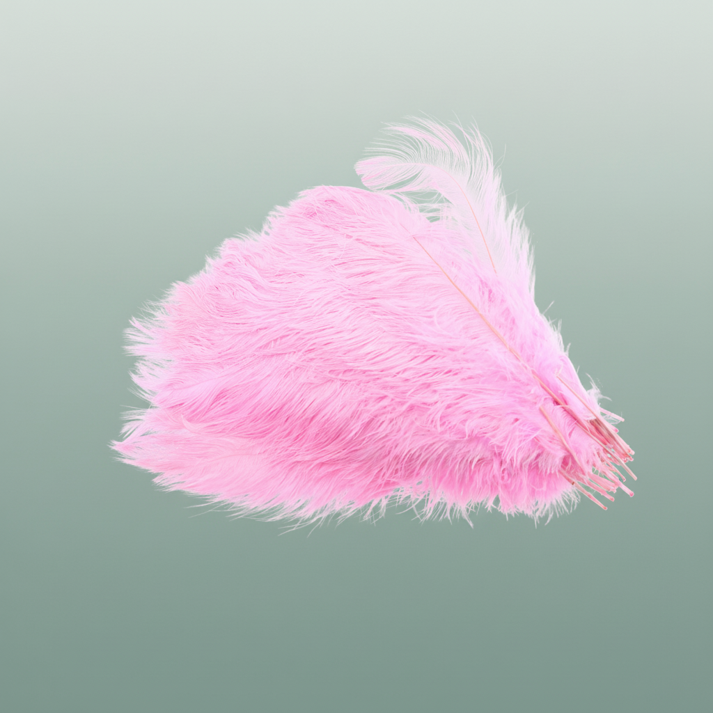 Dried Ostrich Feather Light Pink Big