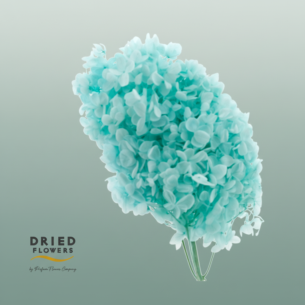 Dried Bleached Hydrangea Tower Tiffany Xxl