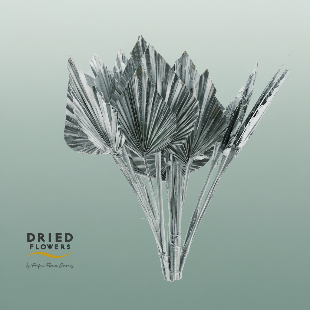 Dried Palm Spear Small Silver