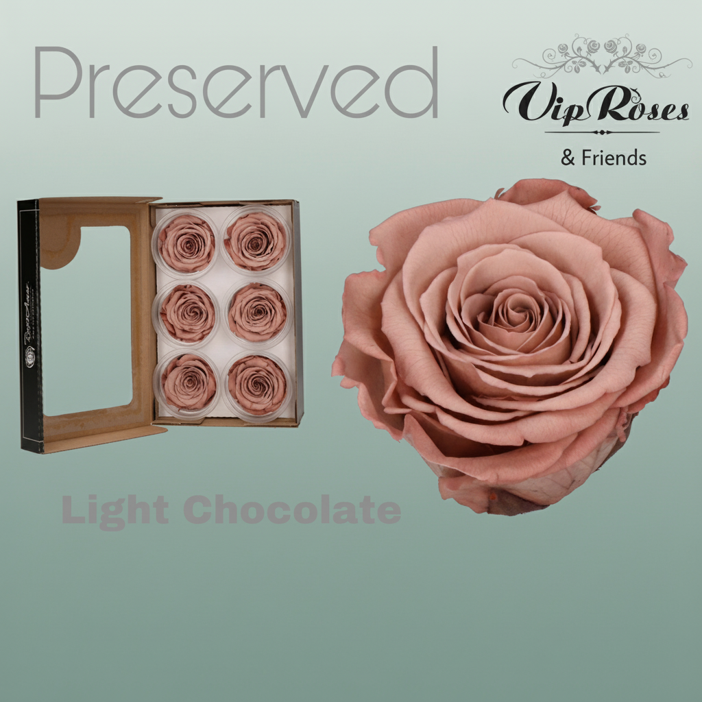 Rose Preserved Light Chocolate