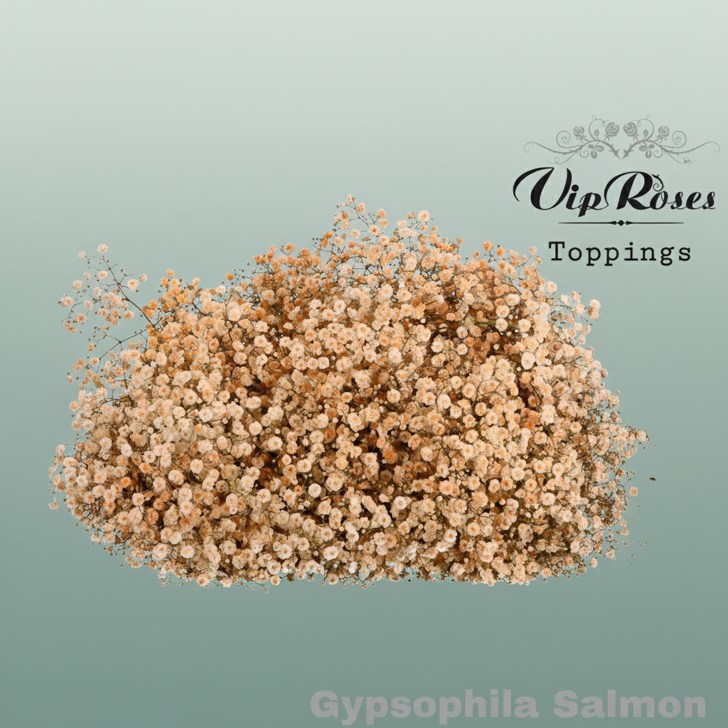 Gypsophila Dyed Salmon