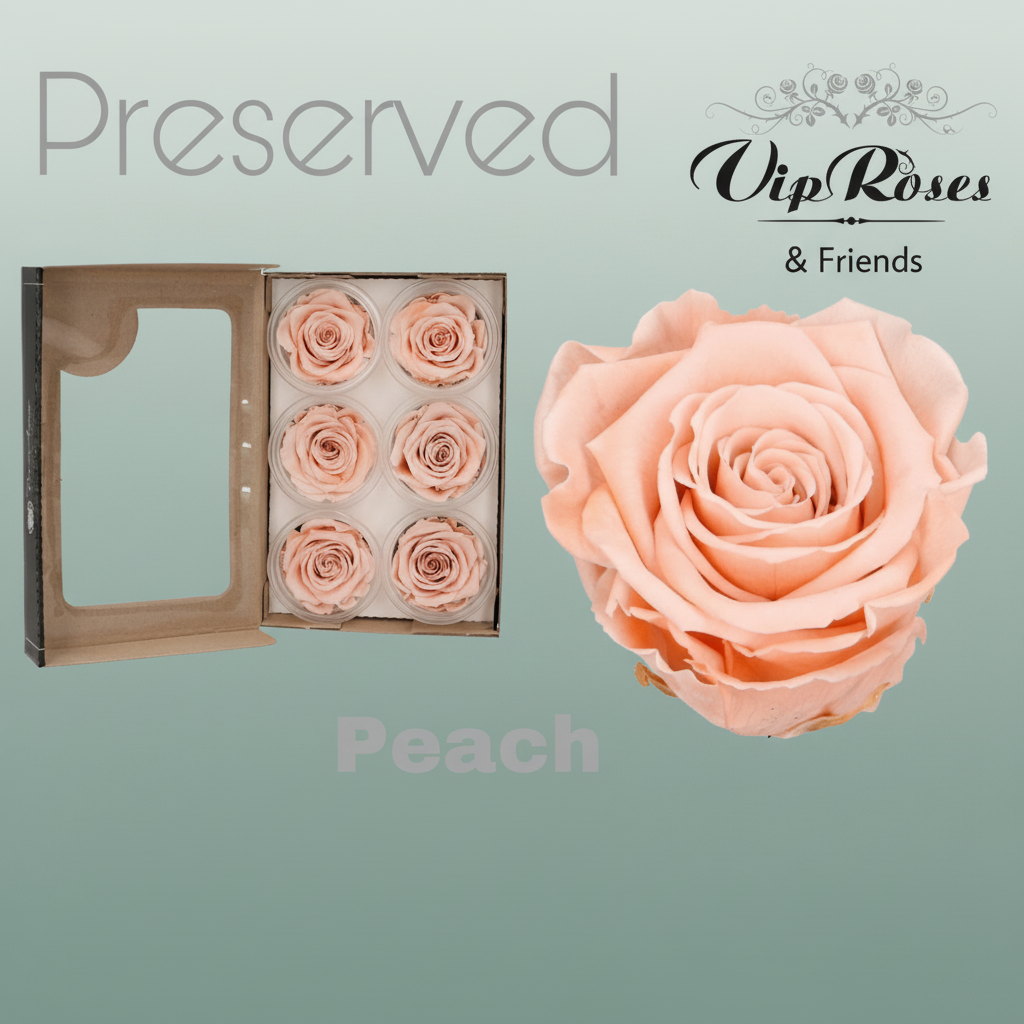 Rose Preserved Peach