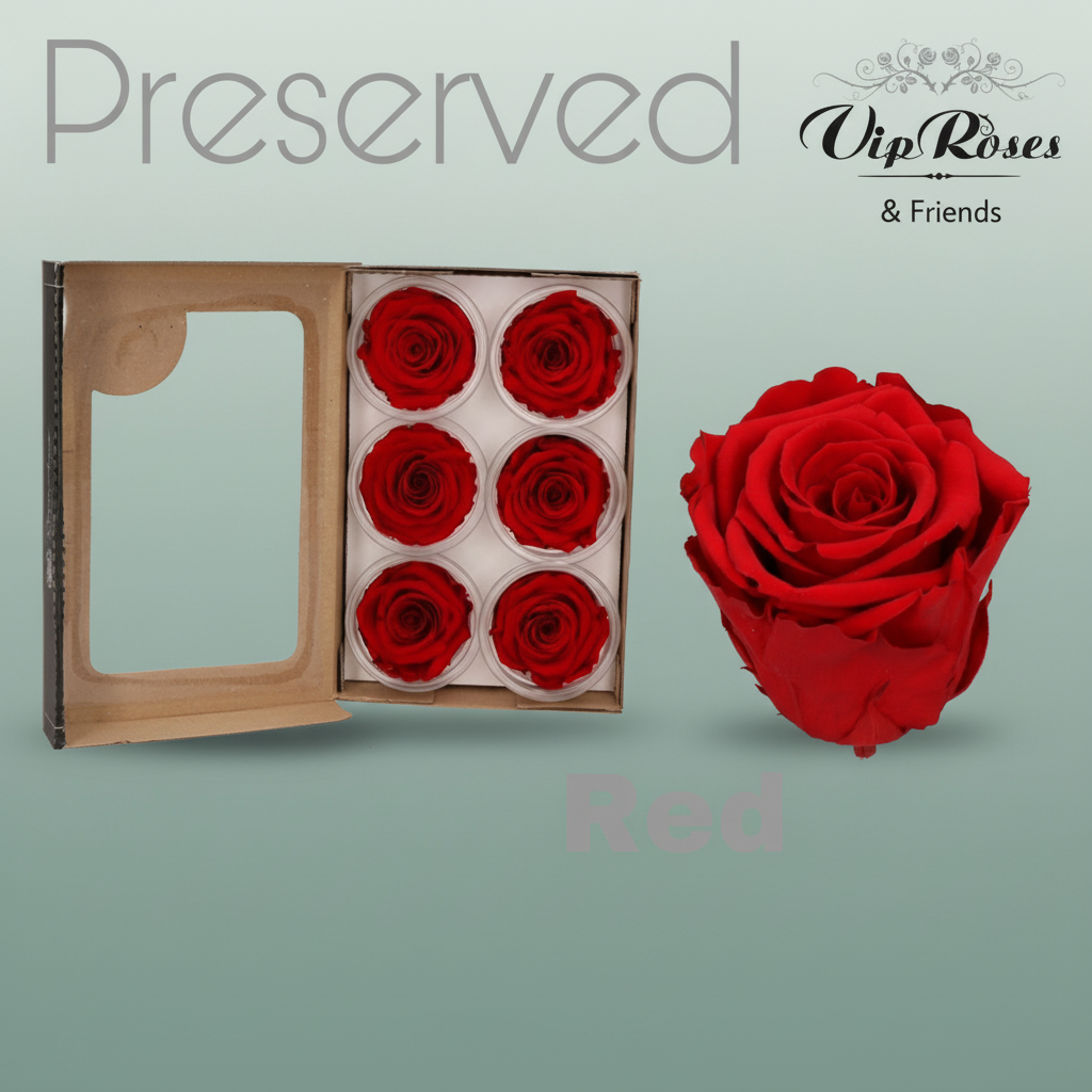 Rose Preserved Red