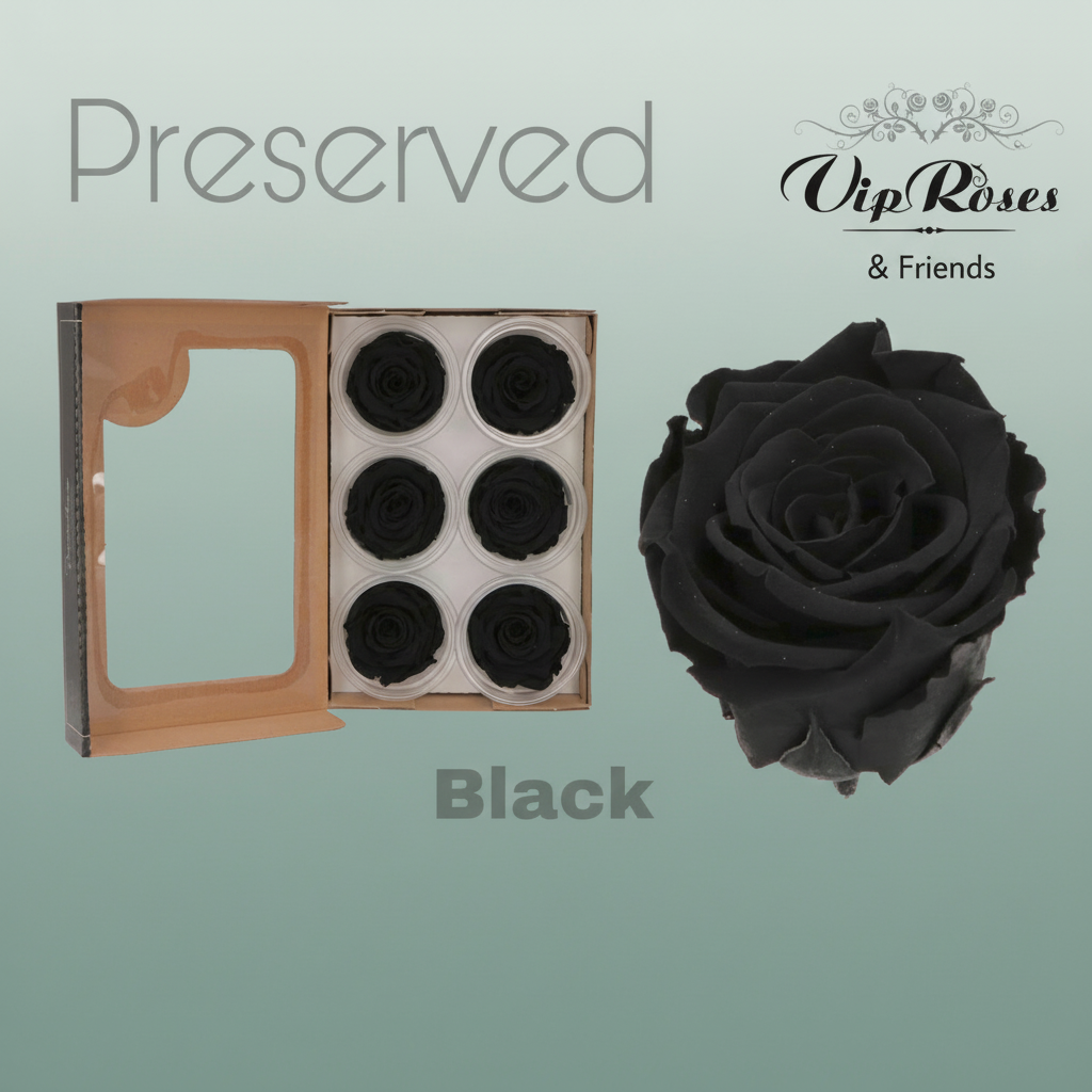 Rose Preserved Black