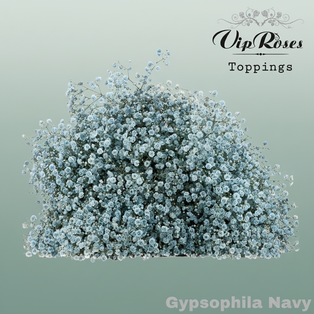 Gypsophila Dyed Navy
