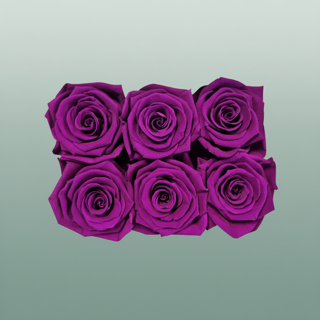 Rose Preserved Classic Lila