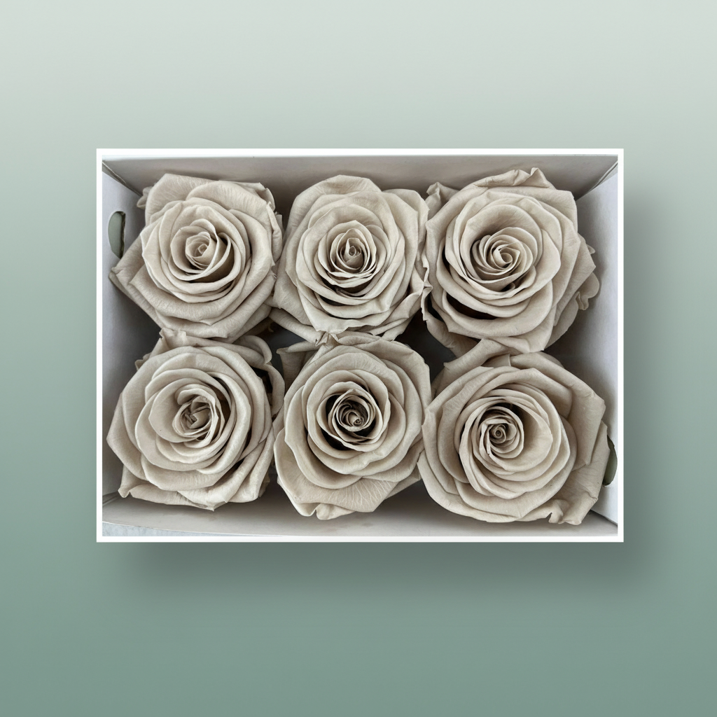 Rose Preserved Classic Sand