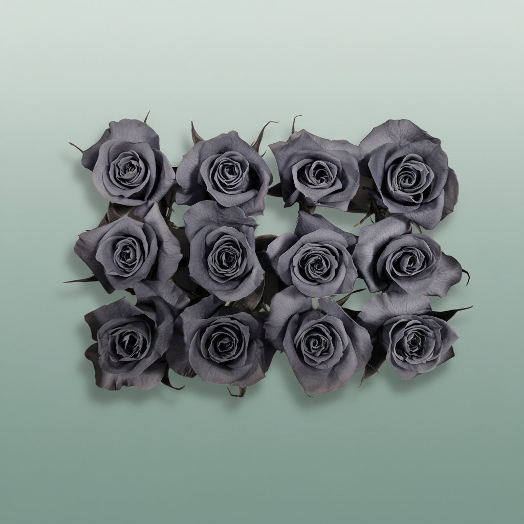 Rose Preserved Mini Graphite