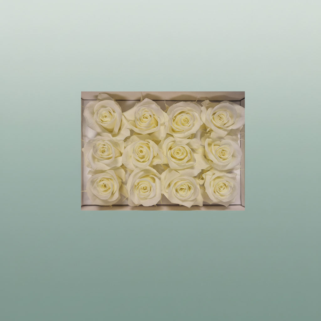 Rose Preserved Mini Creme