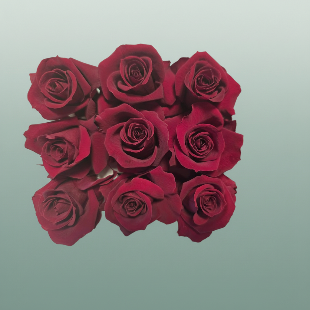 Rose Preserved Mini Red