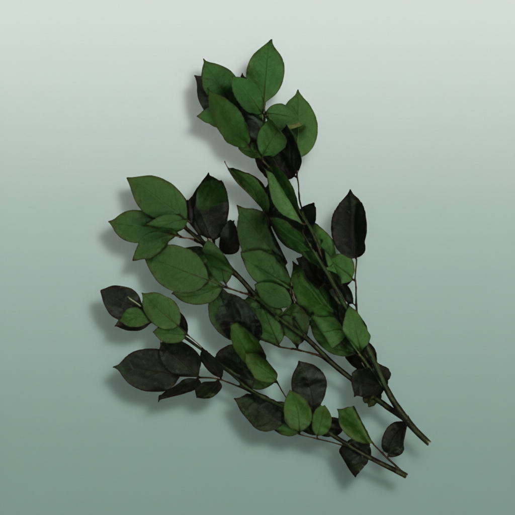 Rose Preserved Stems Without Head