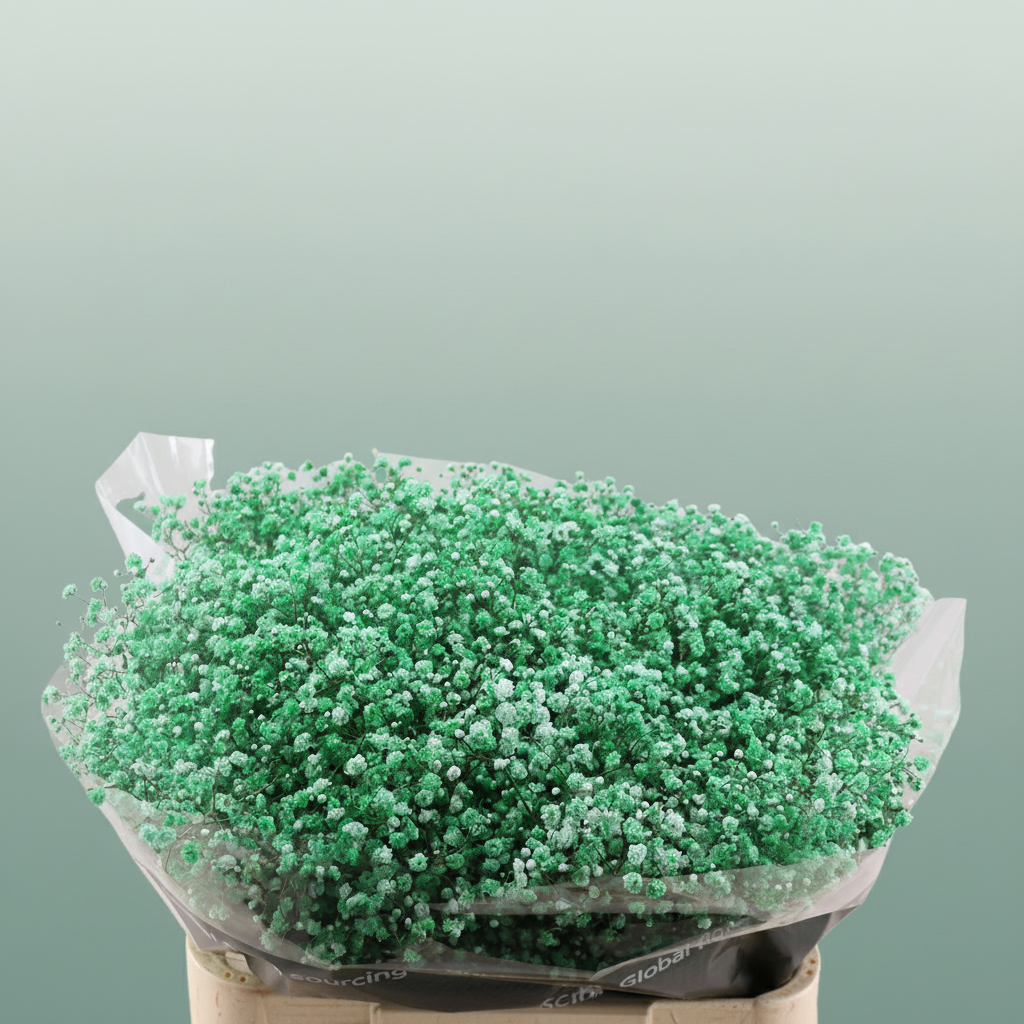 Gypsophila Dyed Green Mint