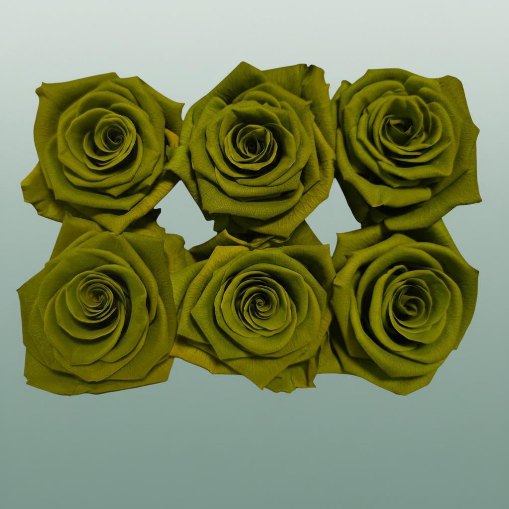 Rose Preserved Classic Green Army