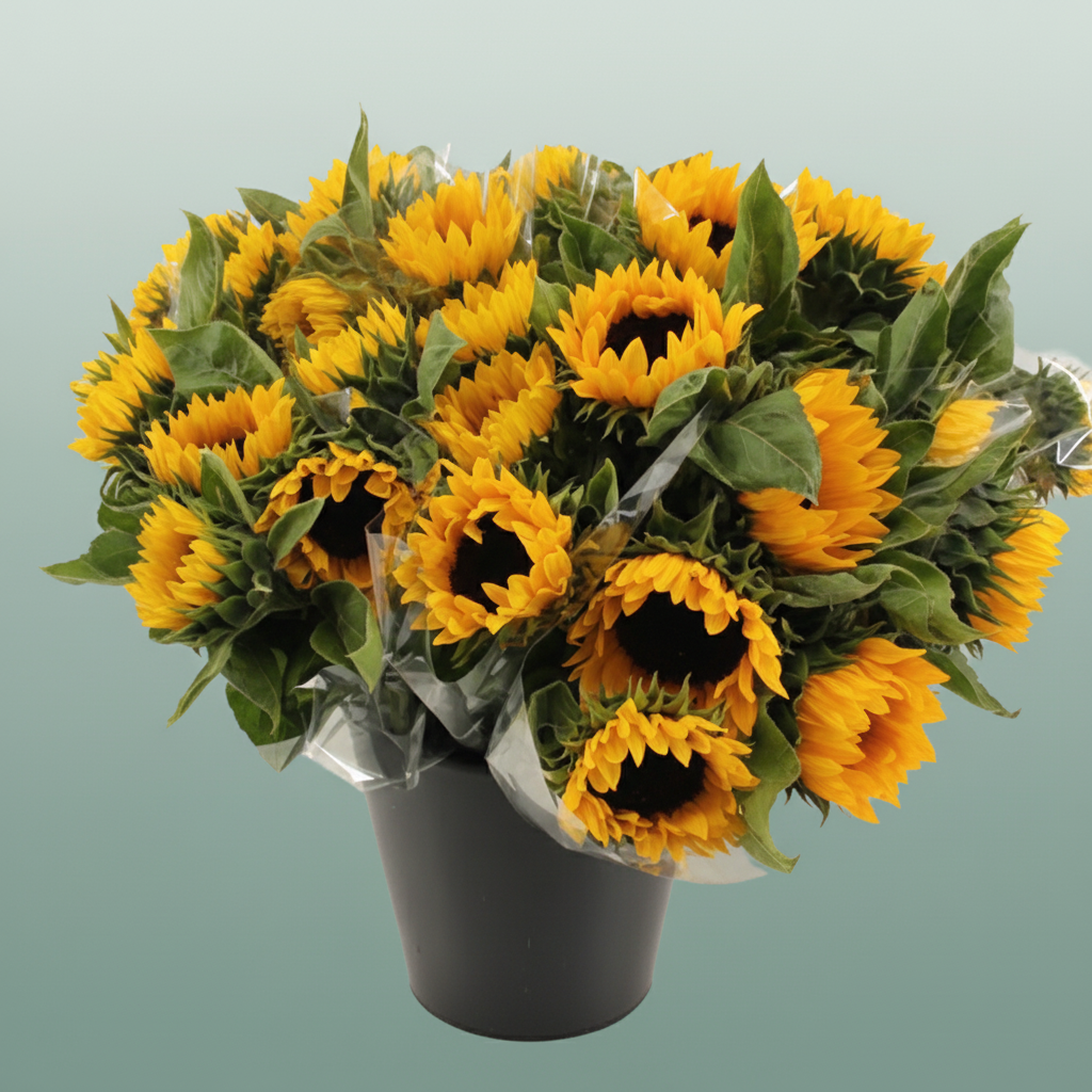 Bouquet Mono Sunflower