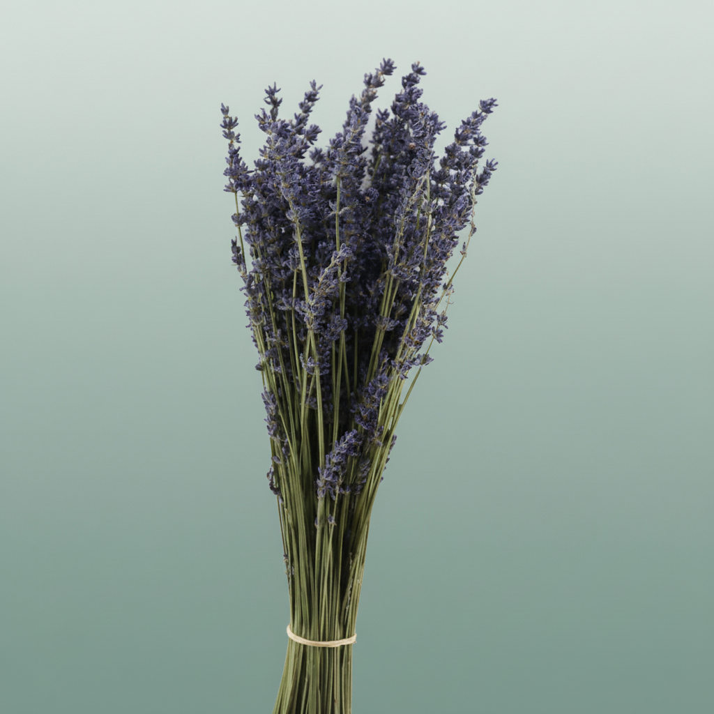 Dried Lavendel Super Blue