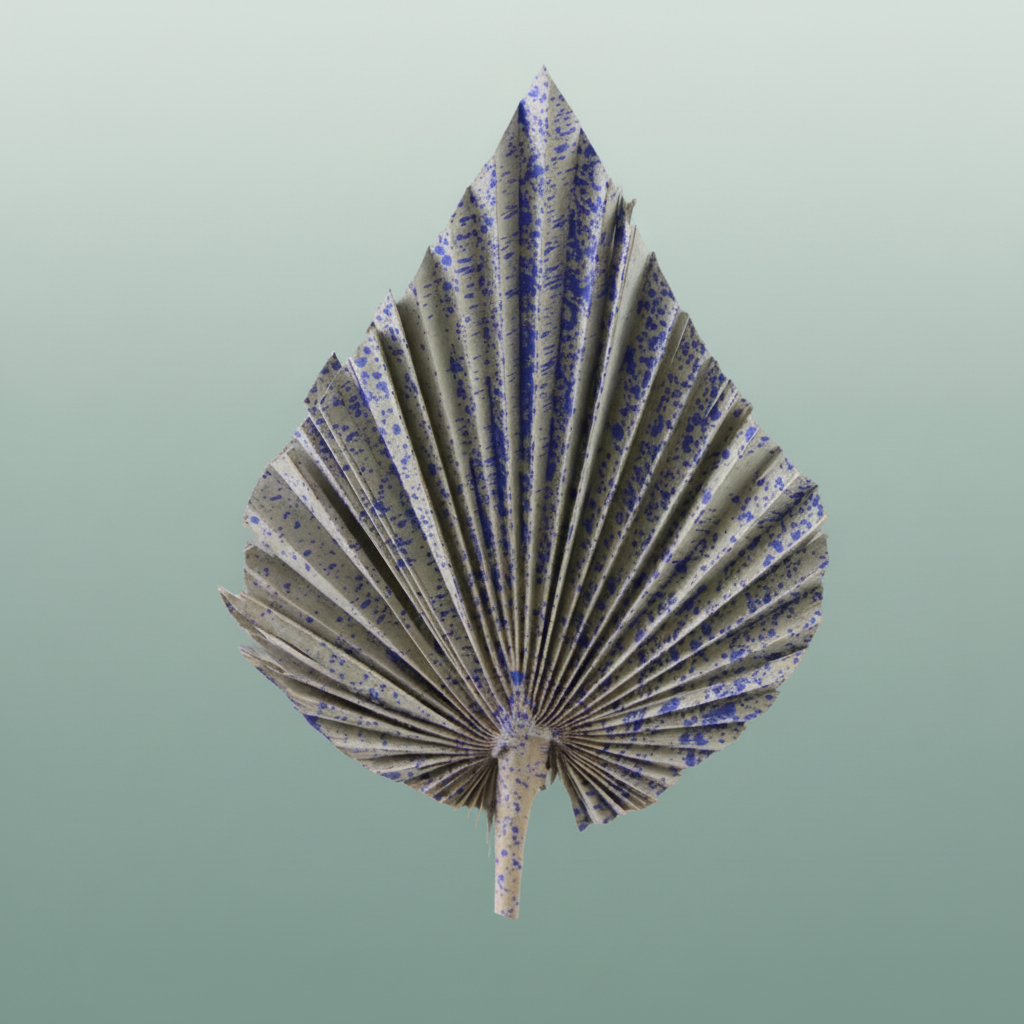 Dried Artz Palm Spear Xl Matisse