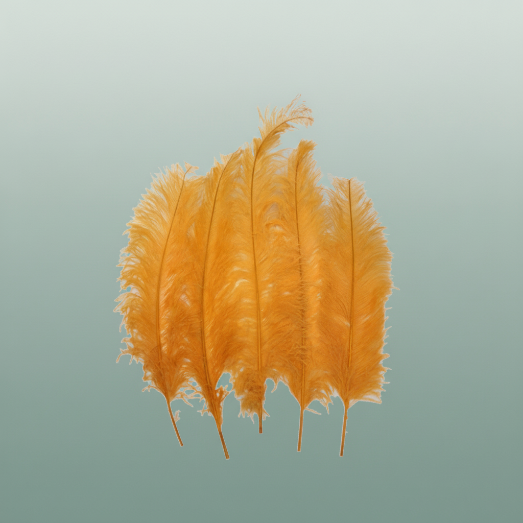 Feather Ostrich Feathers Yellow