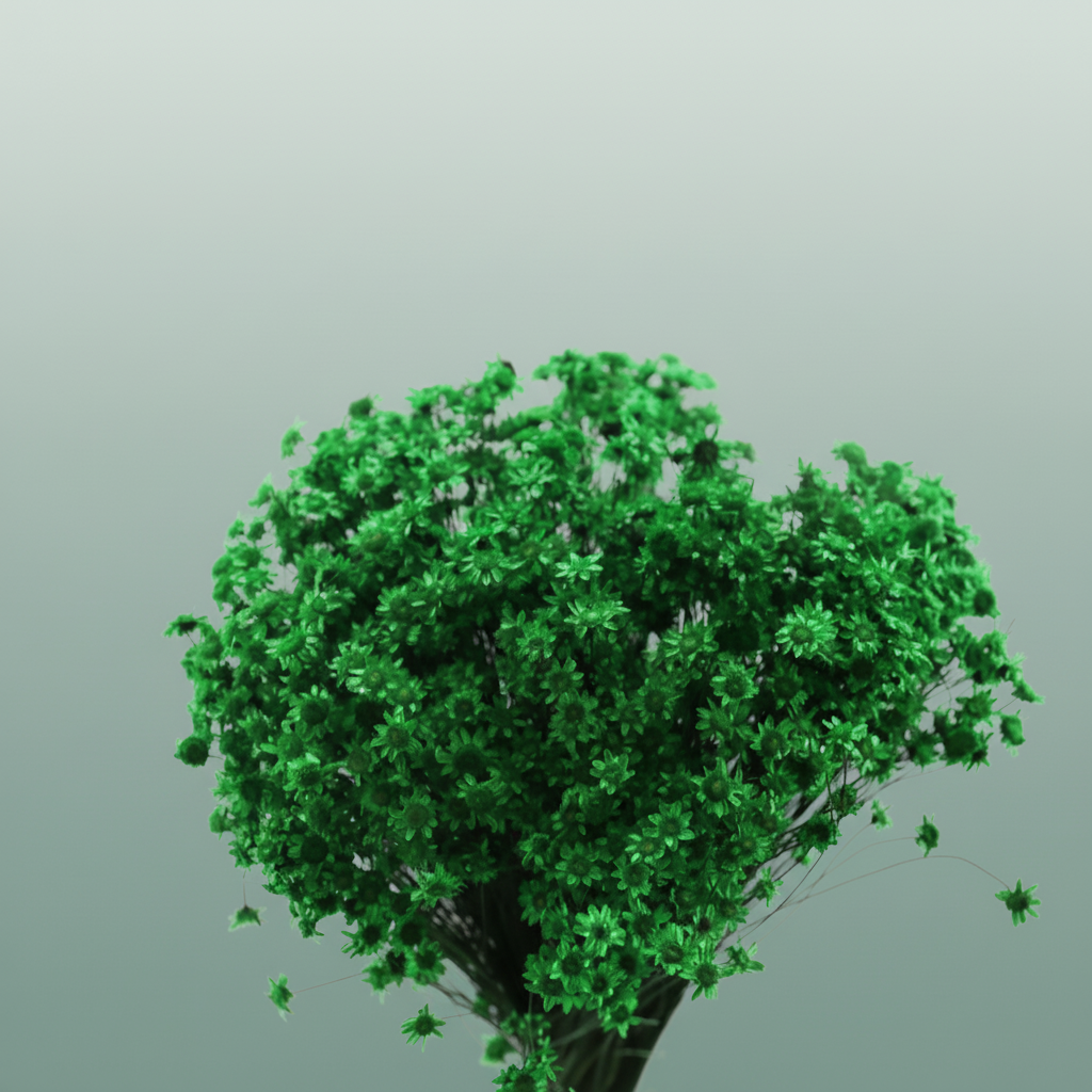 Dried Glixia Dark Green