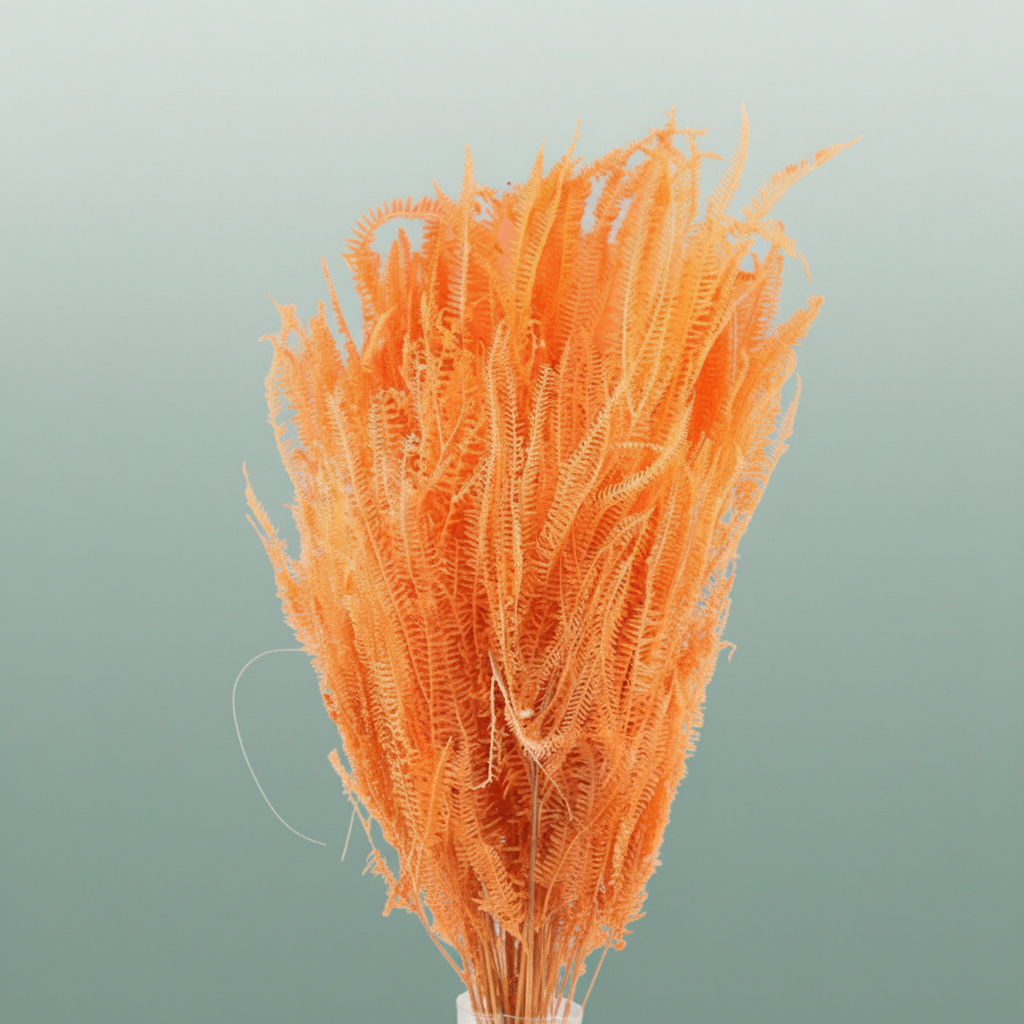 Pres Helecho Lvs Salmon