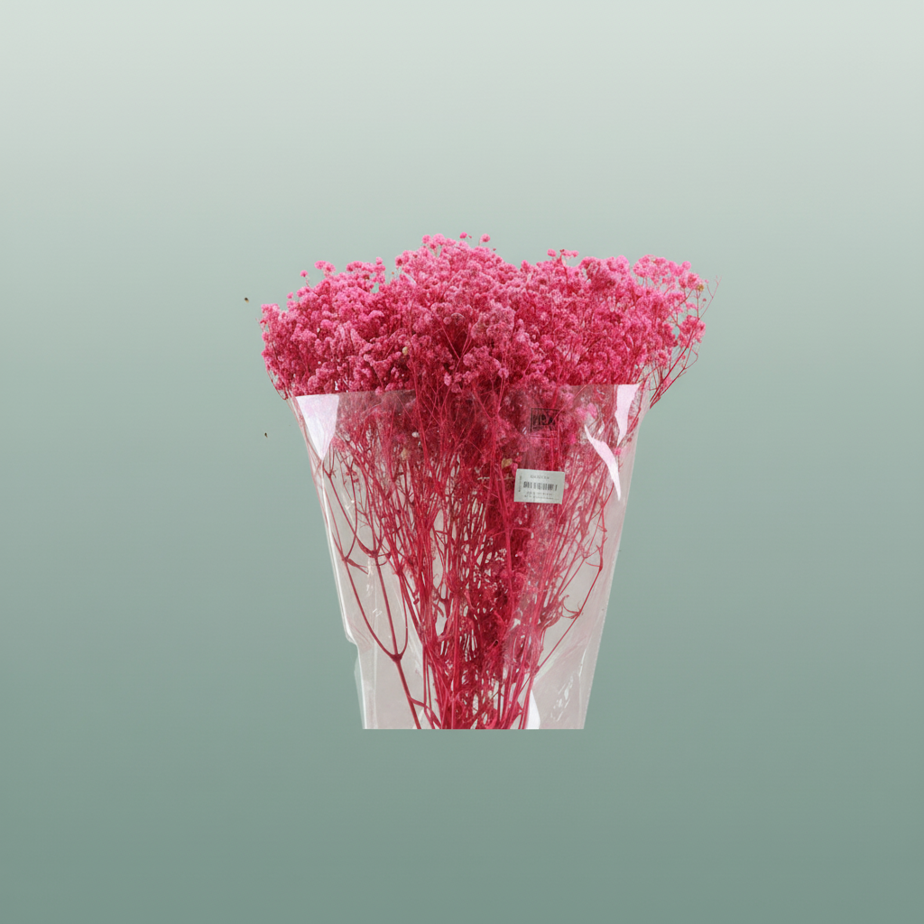 Pres Gypsophila Bouquet Bleached Cerise