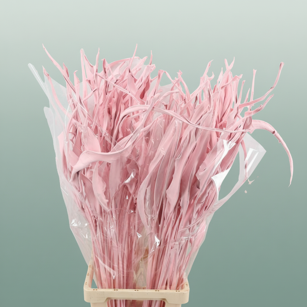 Dried Strelitziablad Pink
