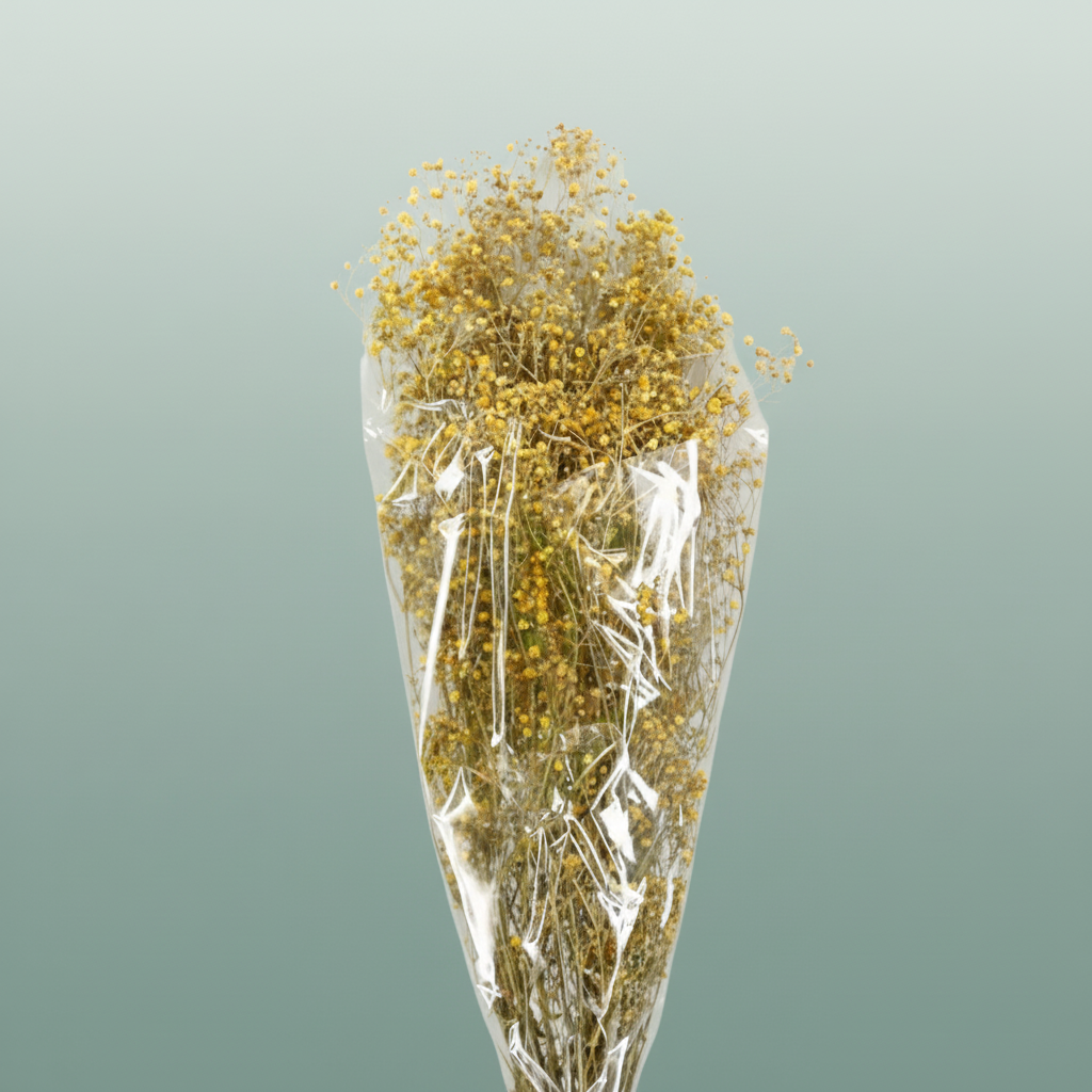 Pres Gypsophila Dusty Yellow