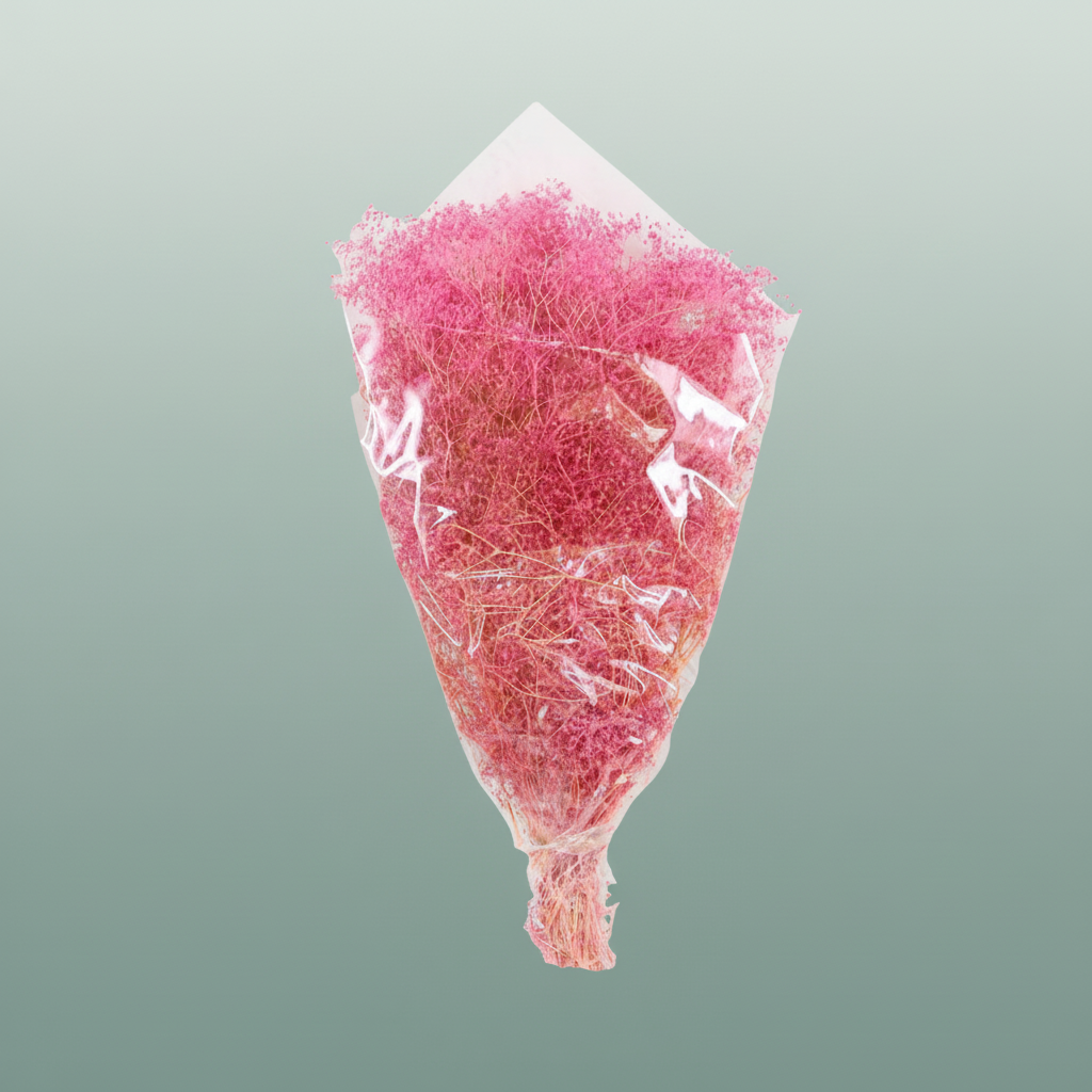 Pres Gypsophila Mini Pink