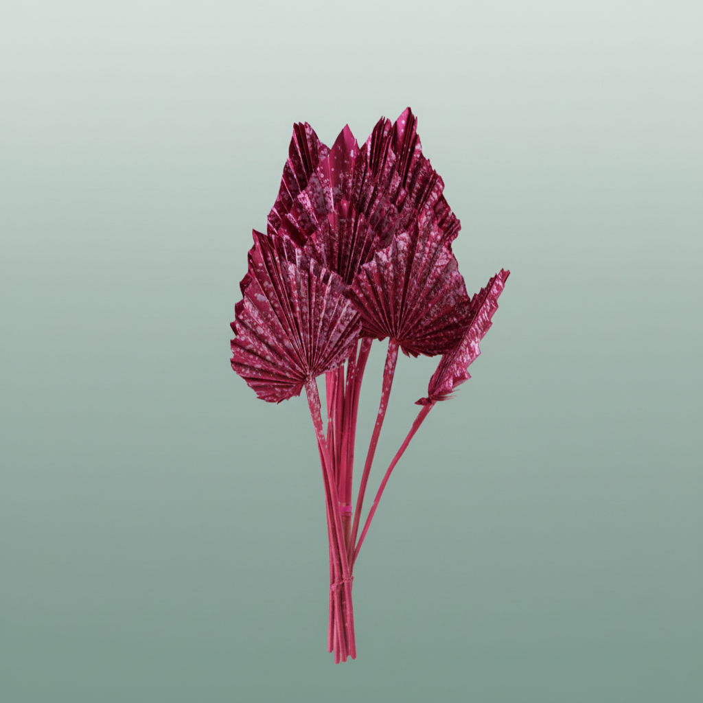 Dried Artz Palm Spear Rembrandt