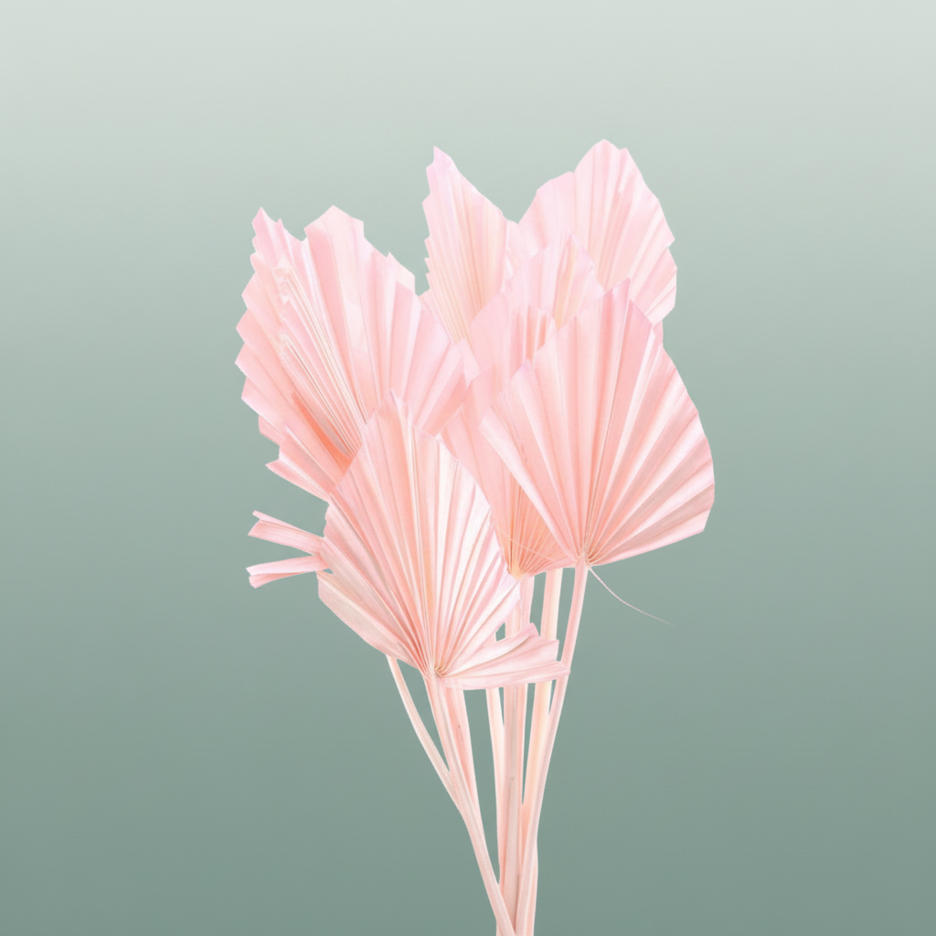 Dried Palm Spear Lightpink