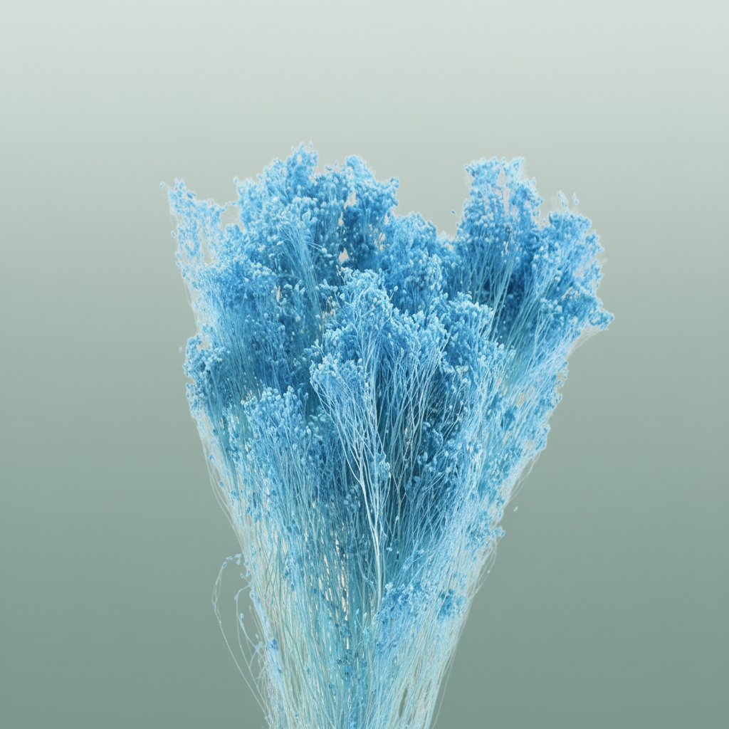 Dried Brooms Light Blue