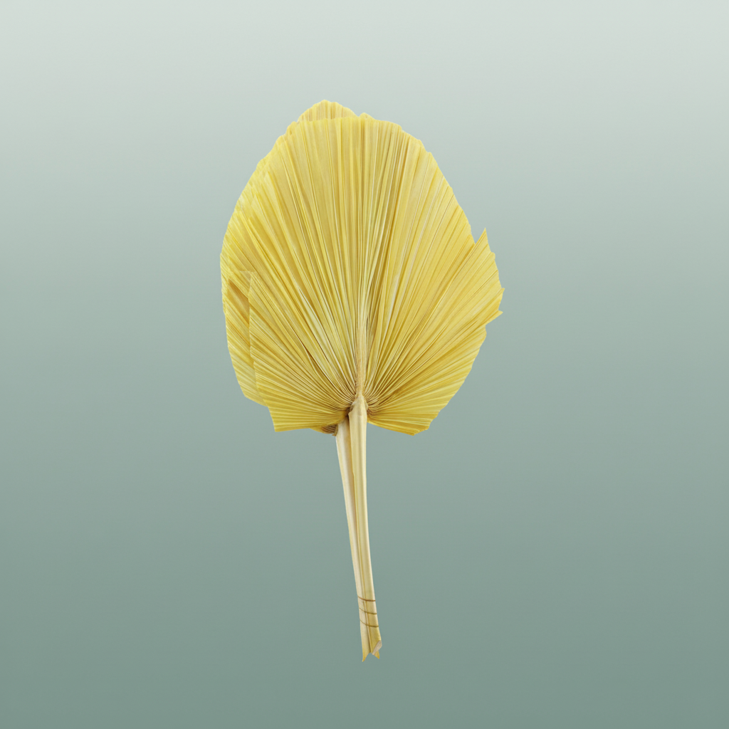Dried Palm Spear Xxl Bl Yellow