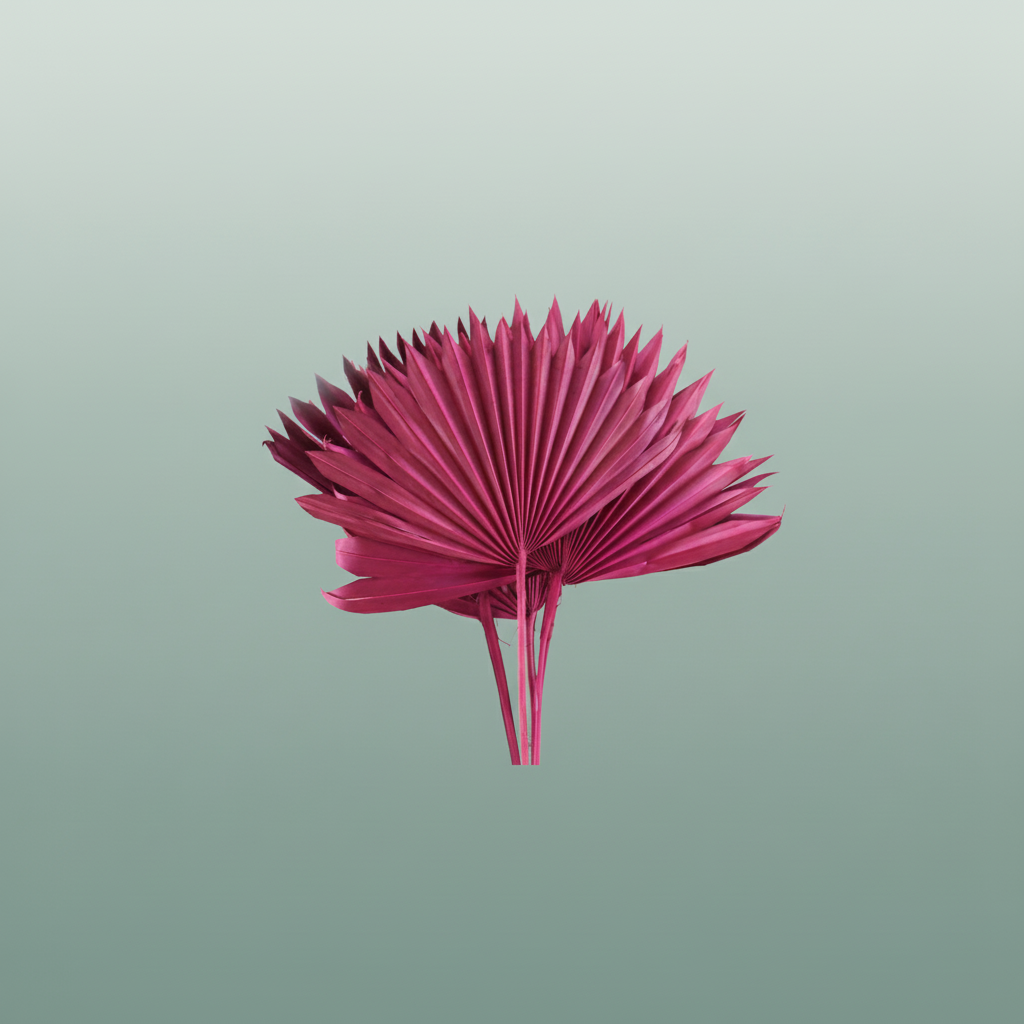 Dried Palm Sun Cersie