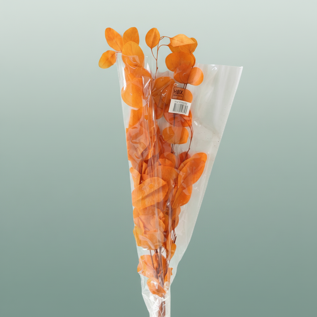 Pres Eucalyptus Populus Orange