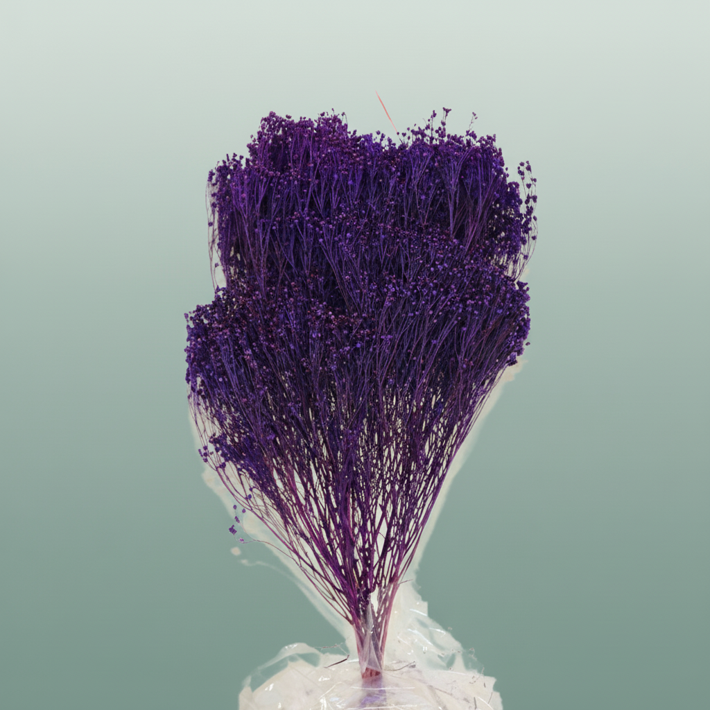 Dried Broom Bloom Violet